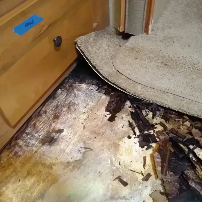 Wood Floor Water Damage in Lewisville, TX